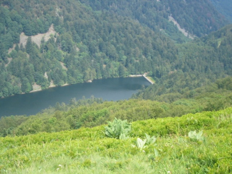 ../Images/i Le lac d Altenweiher.jpg